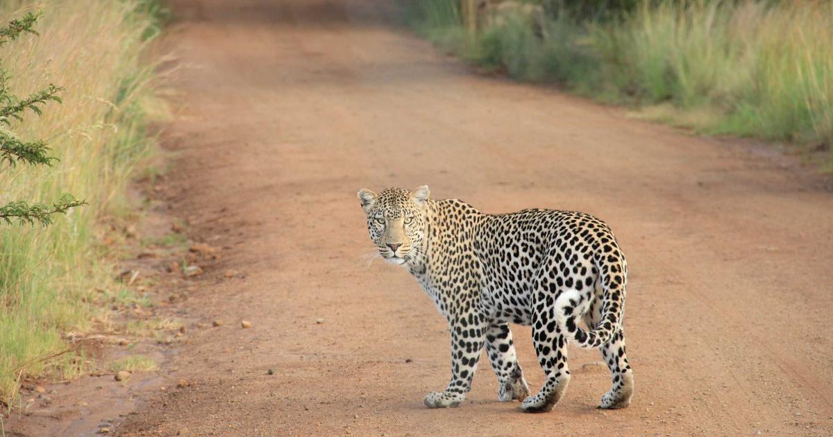 Featured: Feature Flags Saved Our Black Friday Deployment: Rolling Out Changes to 8.4M Users Without Downtime