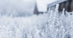 The Hidden Cost of Technical Debt: How One Startup’s Shortcuts Led to a $2.3M Rewrite