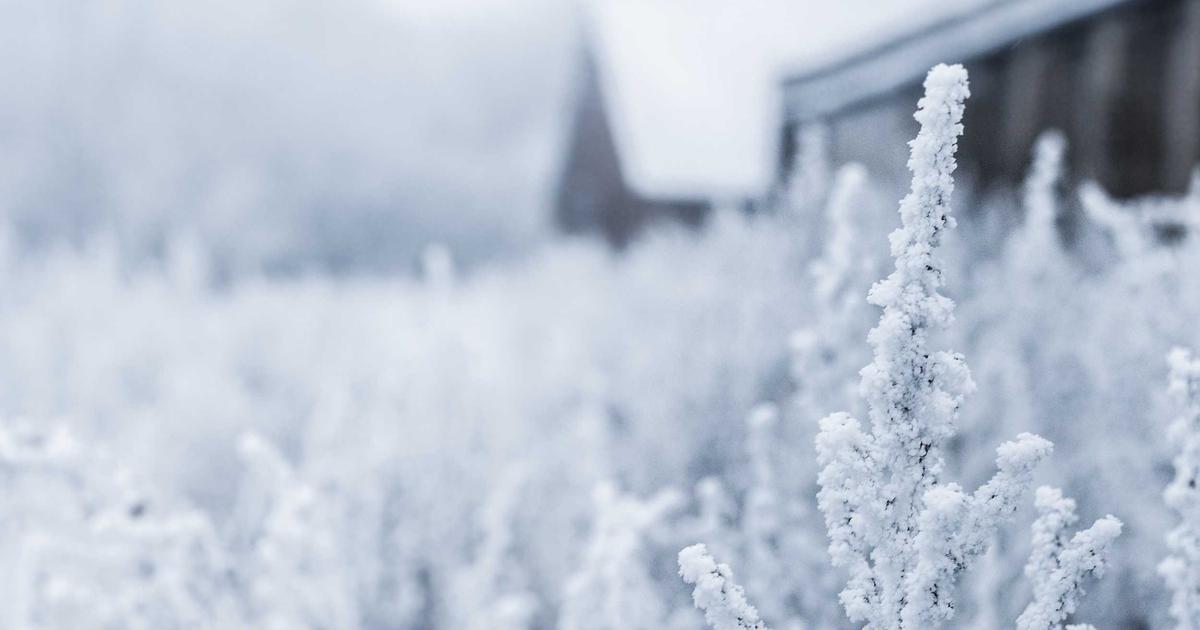 Featured: The Hidden Cost of Technical Debt: How One Startup's Shortcuts Led to a $2.3M Rewrite