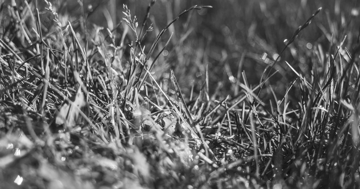 Featured: I Spent 6 Months Testing CI/CD Pipelines: GitHub Actions vs Jenkins vs GitLab CI Performance Breakdown