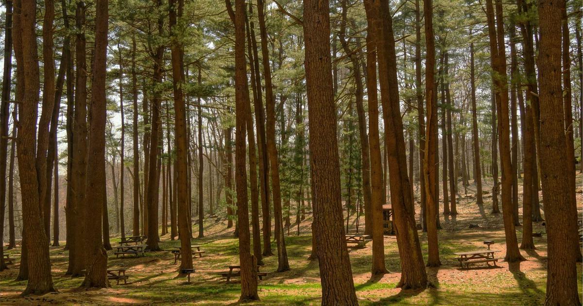 Featured: The Hidden Performance Tax of Using ORMs: Benchmarking Prisma, TypeORM, and Raw SQL