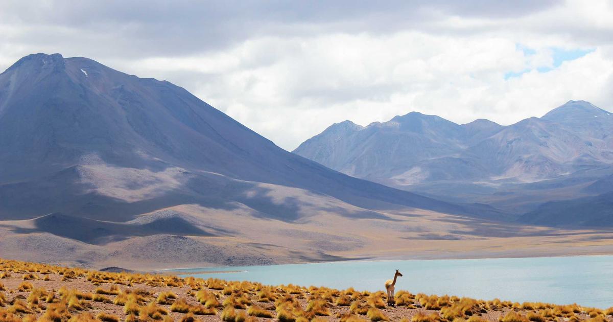 Featured: Why Junior Developers Get Stuck in Tutorial Hell (And the 3-Month Roadmap That Breaks the Cycle)